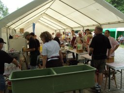 Seefest 2006